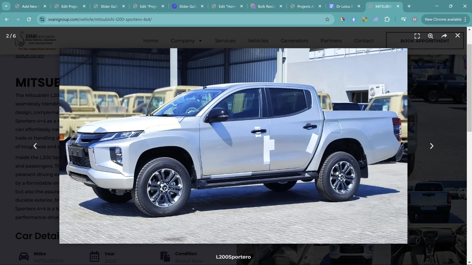 Svani Group Limited (10)